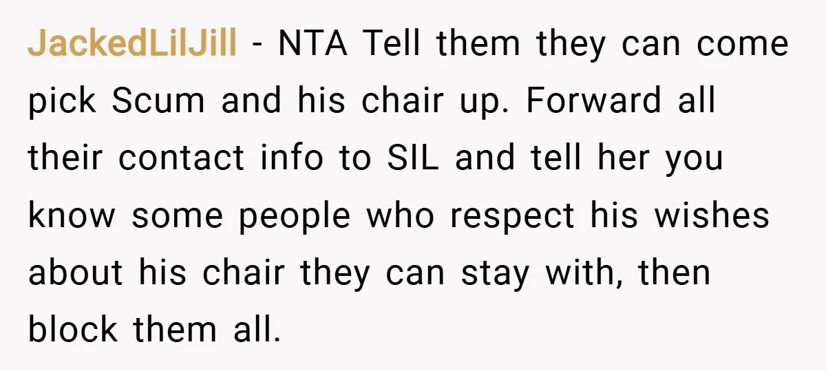 JackedLilJill − NTA Tell them they can come pick Scum and his chair up. Forward all their contact info to SIL and tell her you know some people who respect...