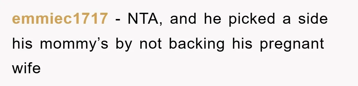 emmiec1717 − NTA, and he picked a side his mommy’s by not backing his pregnant wife