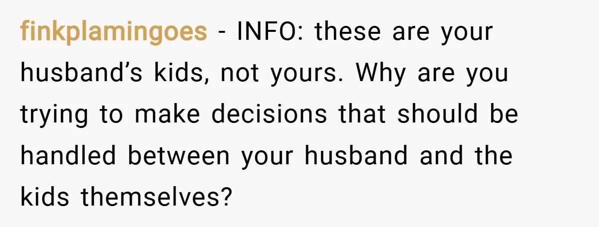 finkplamingoes − INFO: these are your husband’s kids, not yours. Why are you trying to make decisions that should be handled between your husband and the kids themselves?