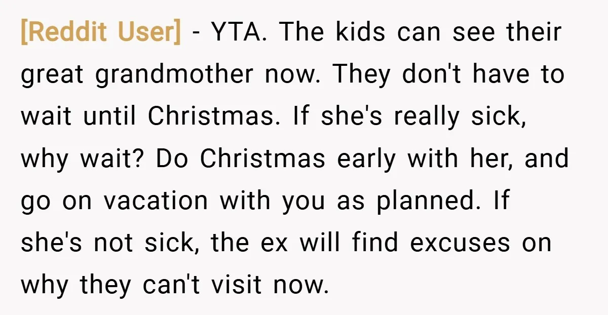 [Reddit User] − YTA. The kids can see their great grandmother now. They don't have to wait until Christmas. If she's really sick, why wait? Do Christmas early with her,...