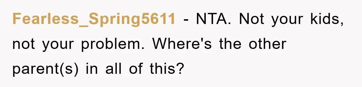 Fearless_Spring5611 − NTA. Not your kids, not your problem. Where's the other parent(s) in all of this?