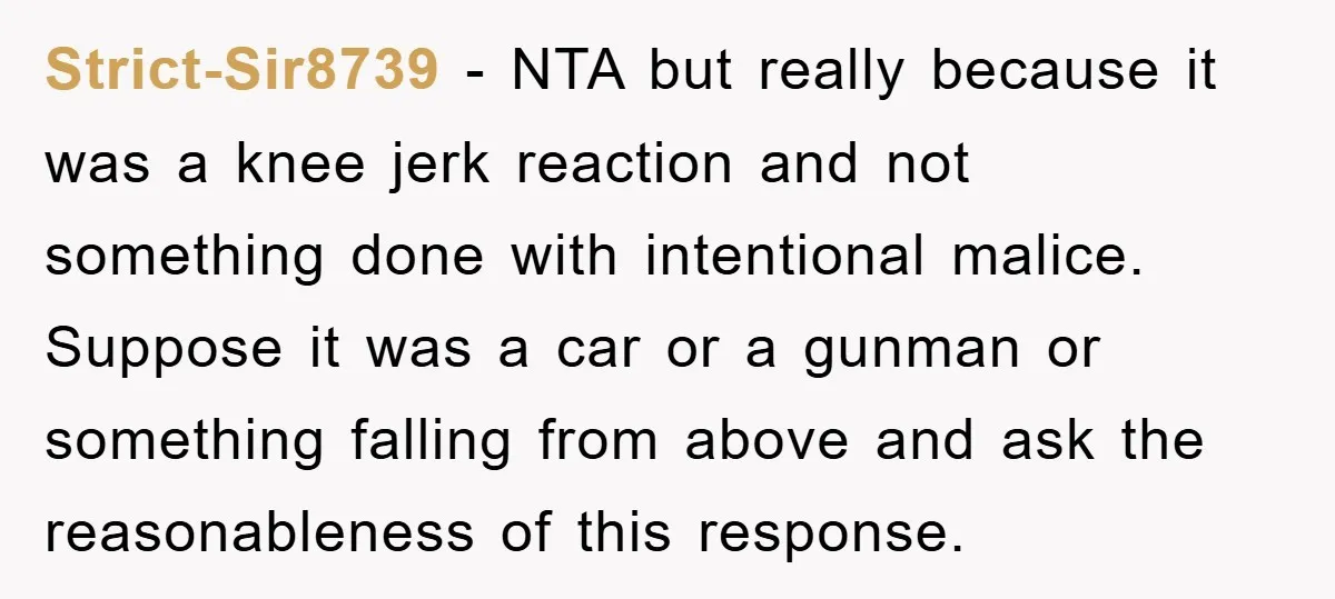Strict-Sir8739 − NTA but really because it was a knee jerk reaction and not something done with intentional malice. Suppose it was a car or a gunman or something falling...