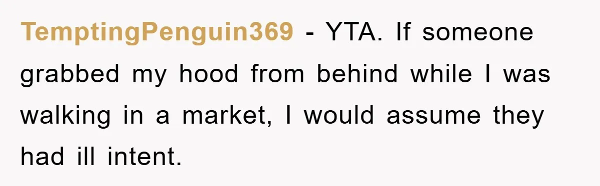 TemptingPenguin369 − YTA. If someone grabbed my hood from behind while I was walking in a market, I would assume they had ill intent.