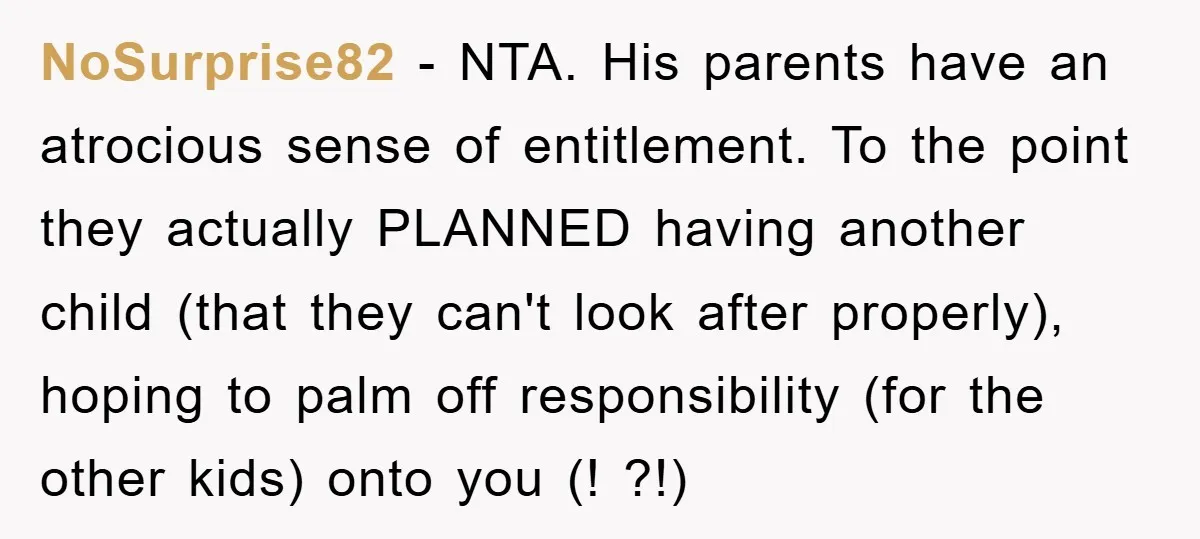NoSurprise82 − NTA. His parents have an atrocious sense of entitlement. To the point they actually PLANNED having another child (that they can't look after properly), hoping to palm off...