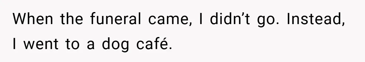 When the funeral came, I didn’t go. Instead, I went to a dog café.