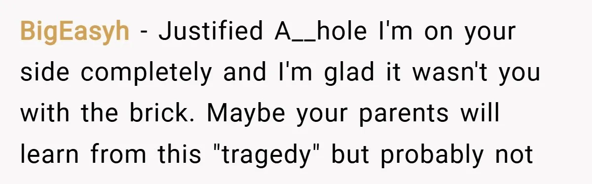 BigEasyh − Justified A__hole I'm on your side completely and I'm glad it wasn't you with the brick. Maybe your parents will learn from this "tragedy" but probably not