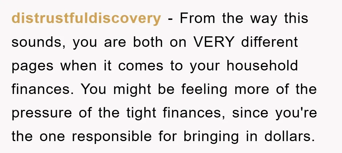 distrustfuldiscovery − From the way this sounds, you are both on VERY different pages when it comes to your household finances. You might be feeling more of the pressure of...