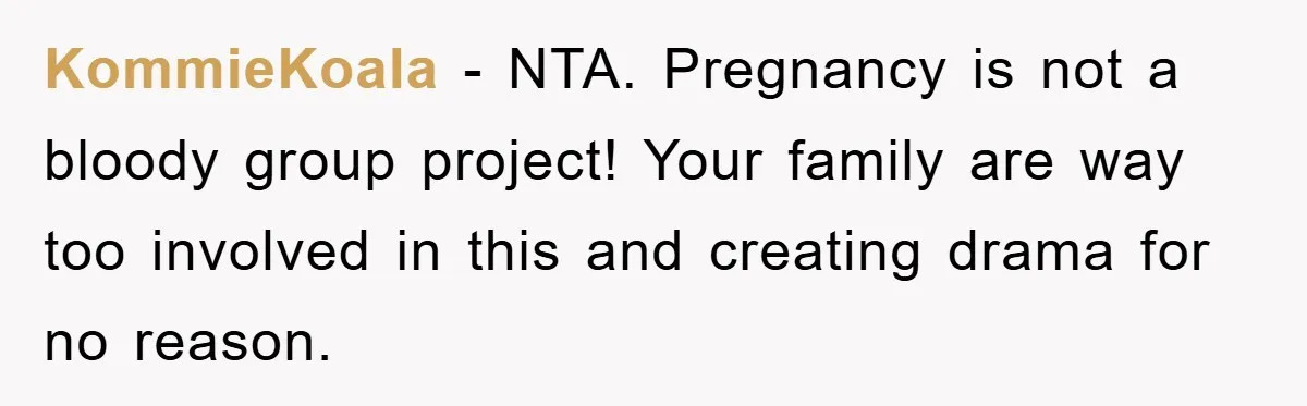 KommieKoala − NTA. Pregnancy is not a bloody group project! Your family are way too involved in this and creating drama for no reason.