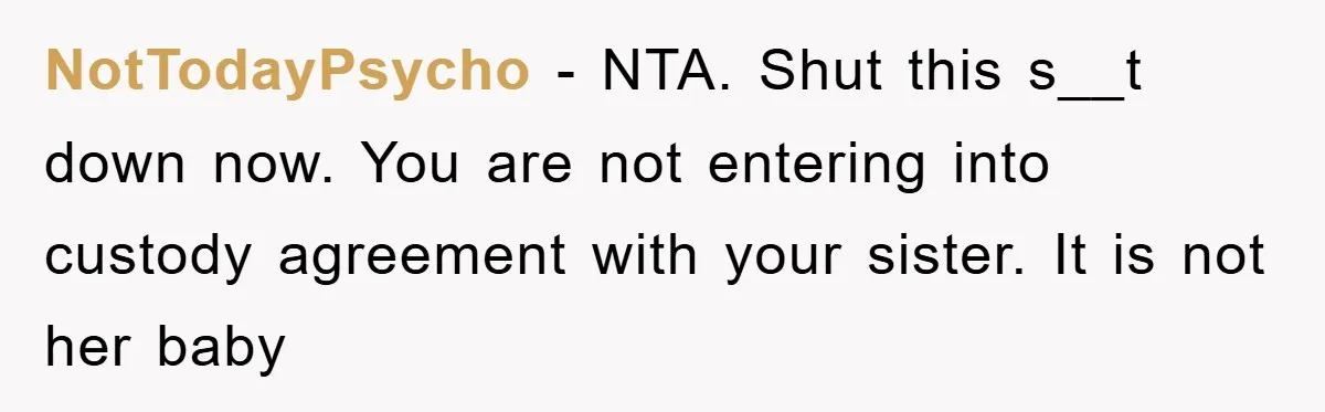 NotTodayPsycho − NTA. Shut this s__t down now. You are not entering into custody agreement with your sister. It is not her baby