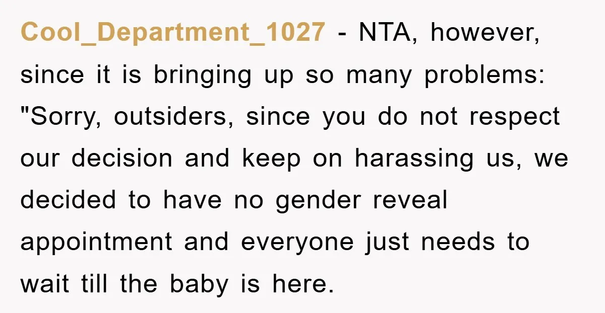 Cool_Department_1027 − NTA, however, since it is bringing up so many problems: "Sorry, outsiders, since you do not respect our decision and keep on harassing us, we decided to have...