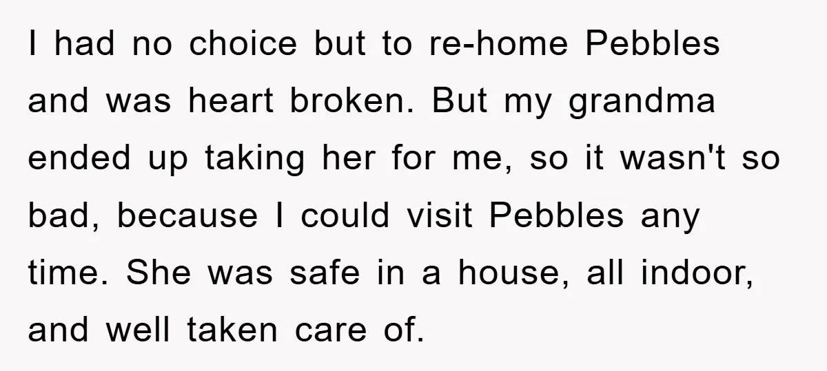 I had no choice but to re-home Pebbles and was heart broken. But my grandma ended up taking her for me, so it wasn't so bad, because I could visit...