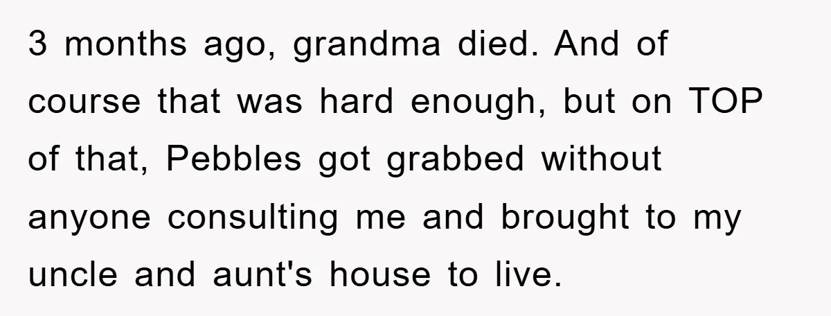 3 months ago, grandma died. And of course that was hard enough, but on TOP of that, Pebbles got grabbed without anyone consulting me and brought to my uncle and...