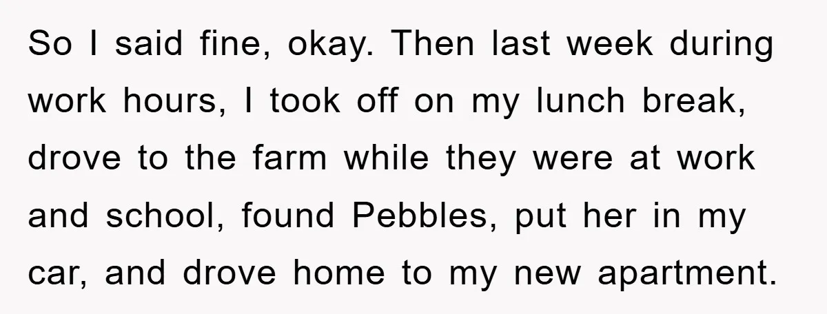 So I said fine, okay. Then last week during work hours, I took off on my lunch break, drove to the farm while they were at work and school, found...