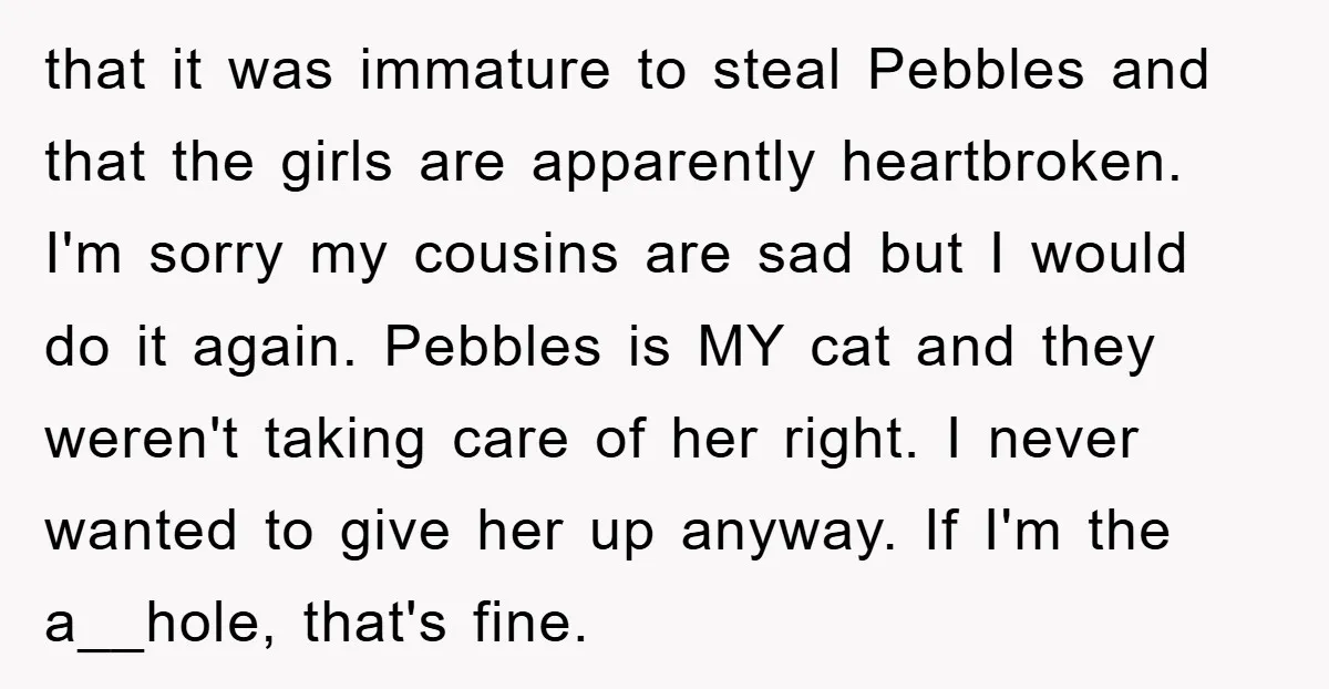 that it was immature to steal Pebbles and that the girls are apparently heartbroken. I'm sorry my cousins are sad but I would do it again. Pebbles is MY cat...