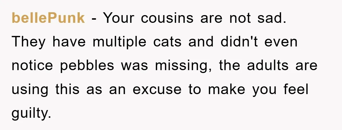 bellePunk − Your cousins are not sad. They have multiple cats and didn't even notice pebbles was missing, the adults are using this as an excuse to make you feel...