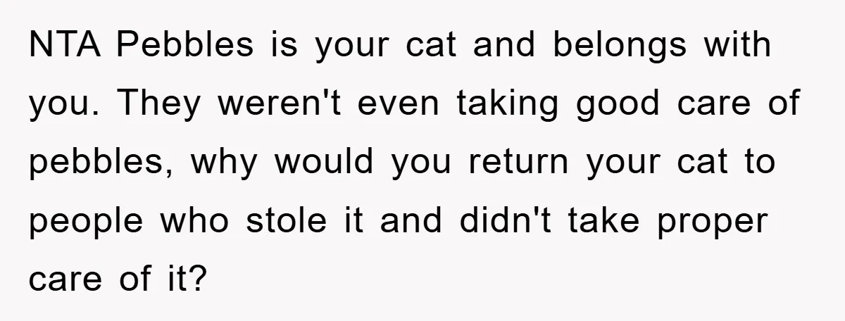 NTA Pebbles is your cat and belongs with you. They weren't even taking good care of pebbles, why would you return your cat to people who stole it and didn't...