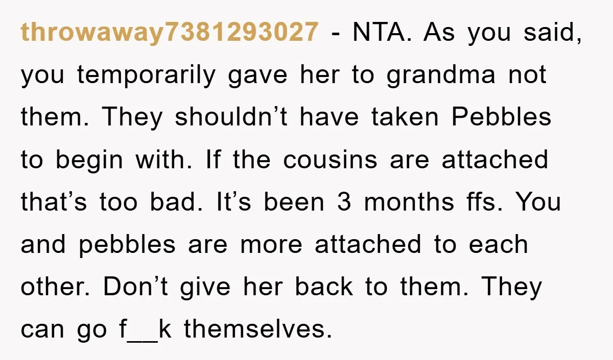 throwaway7381293027 − NTA. As you said, you temporarily gave her to grandma not them. They shouldn’t have taken Pebbles to begin with. If the cousins are attached that’s too bad....