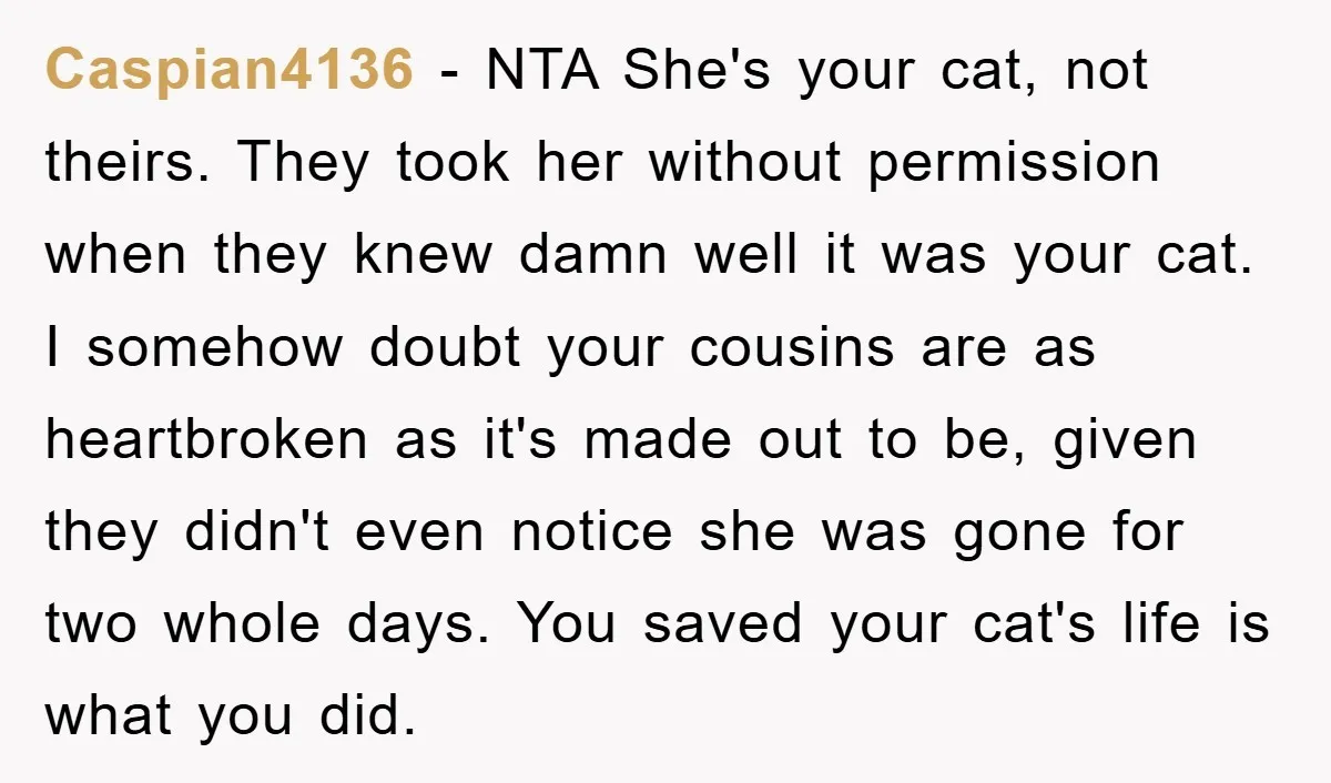 Caspian4136 − NTA She's your cat, not theirs. They took her without permission when they knew damn well it was your cat. I somehow doubt your cousins are as heartbroken...
