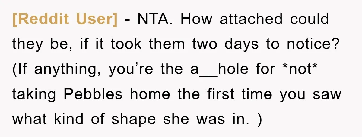 [Reddit User] − NTA. How attached could they be, if it took them two days to notice? (If anything, you’re the a__hole for *not* taking Pebbles home the first time...