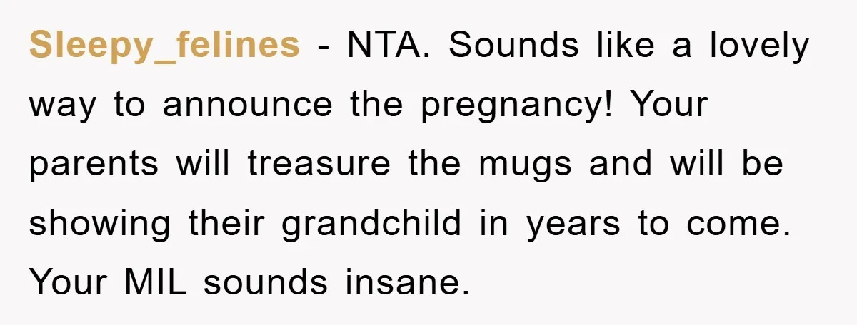 Sleepy_felines − NTA. Sounds like a lovely way to announce the pregnancy! Your parents will treasure the mugs and will be showing their grandchild in years to come. Your MIL...