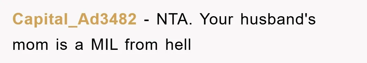 Capital_Ad3482 − NTA. Your husband's mom is a MIL from hell