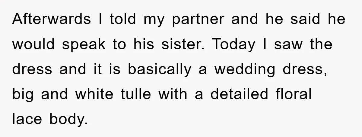 Afterwards I told my partner and he said he would speak to his sister. Today I saw the dress and it is basically a wedding dress, big and white tulle...