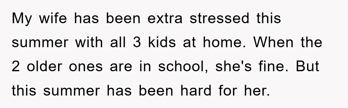 My wife has been extra stressed this summer with all 3 kids at home. When the 2 older ones are in school, she's fine. But this summer has been hard...