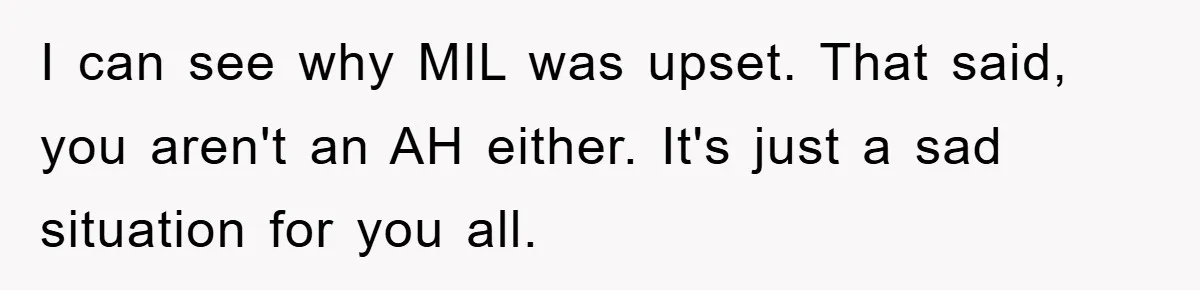 I can see why MIL was upset. That said, you aren't an AH either. It's just a sad situation for you all.