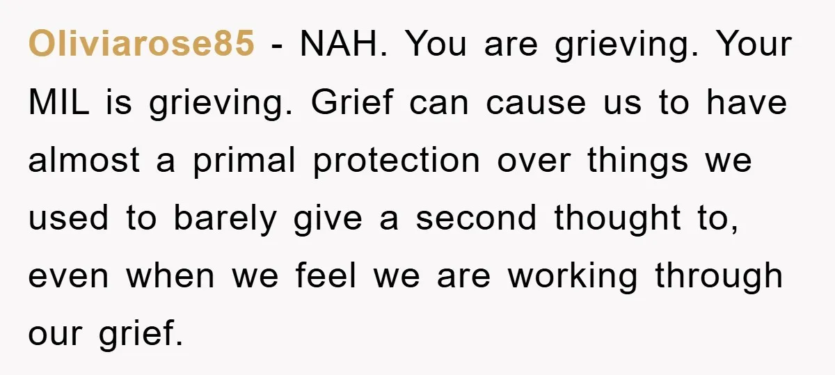 Oliviarose85 − NAH. You are grieving. Your MIL is grieving. Grief can cause us to have almost a primal protection over things we used to barely give a second thought...