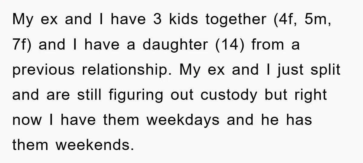 My ex and I have 3 kids together (4f, 5m, 7f) and I have a daughter (14) from a previous relationship. My ex and I just split and are still...