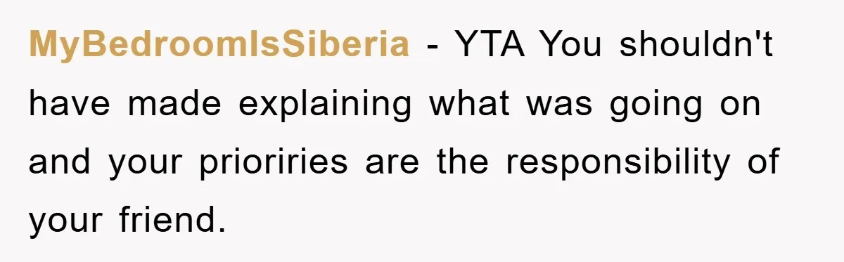 MyBedroomIsSiberia − YTA You shouldn't have made explaining what was going on and your prioriries are the responsibility of your friend.