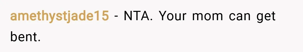 amethystjade15 − NTA. Your mom can get bent.