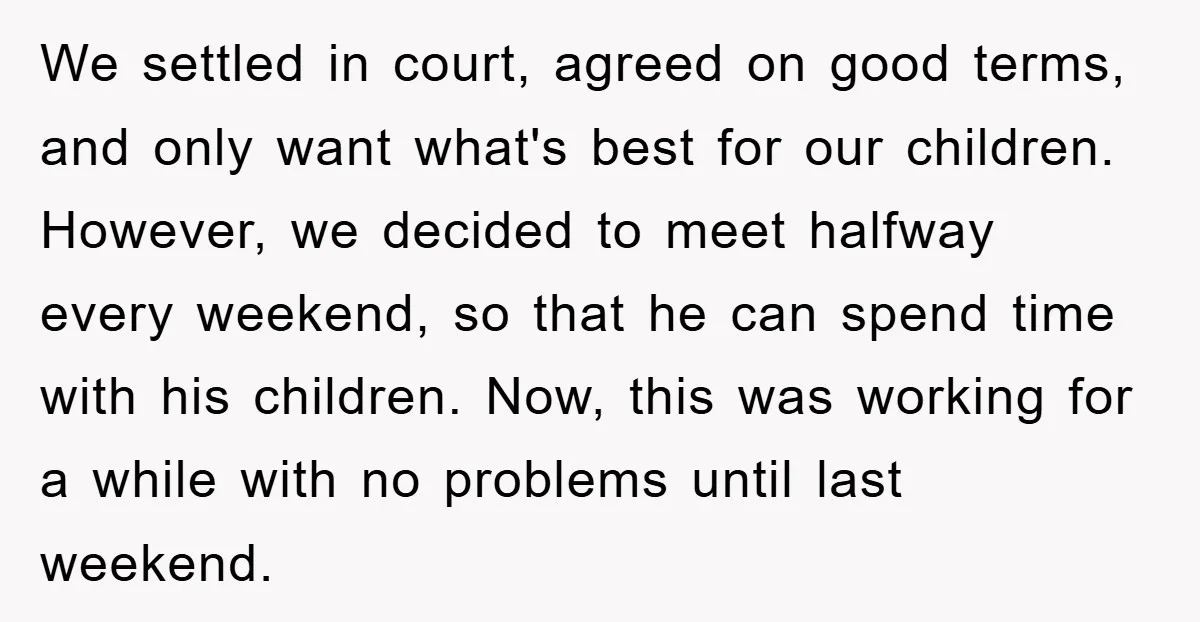 We settled in court, agreed on good terms, and only want what's best for our children. However, we decided to meet halfway every weekend, so that he can spend time...