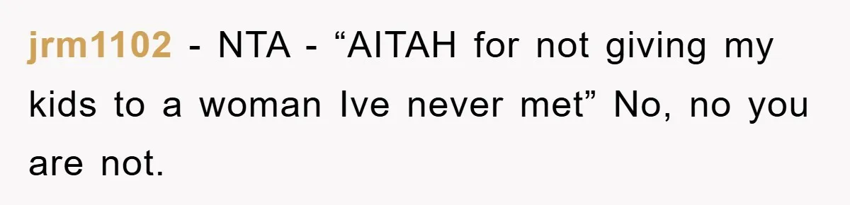 jrm1102 − NTA - “AITAH for not giving my kids to a woman Ive never met” No, no you are not.