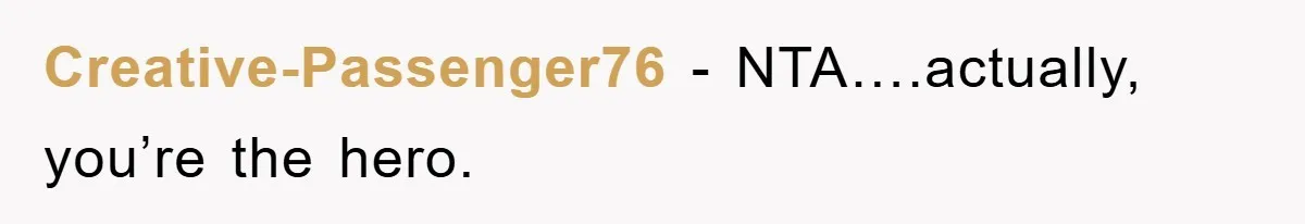 Creative-Passenger76 − NTA….actually, you’re the hero.