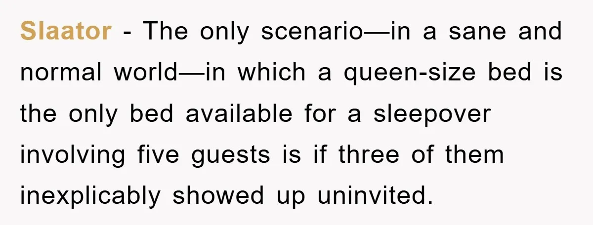 Slaator − The only scenario—in a sane and normal world—in which a queen-size bed is the only bed available for a sleepover involving five guests is if three of them...