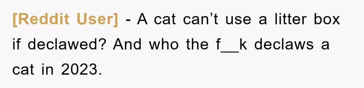 [Reddit User] − A cat can’t use a litter box if declawed? And who the f__k declaws a cat in 2023.