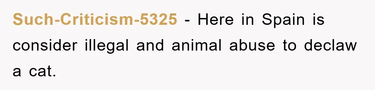 Such-Criticism-5325 − Here in Spain is consider illegal and animal abuse to declaw a cat.