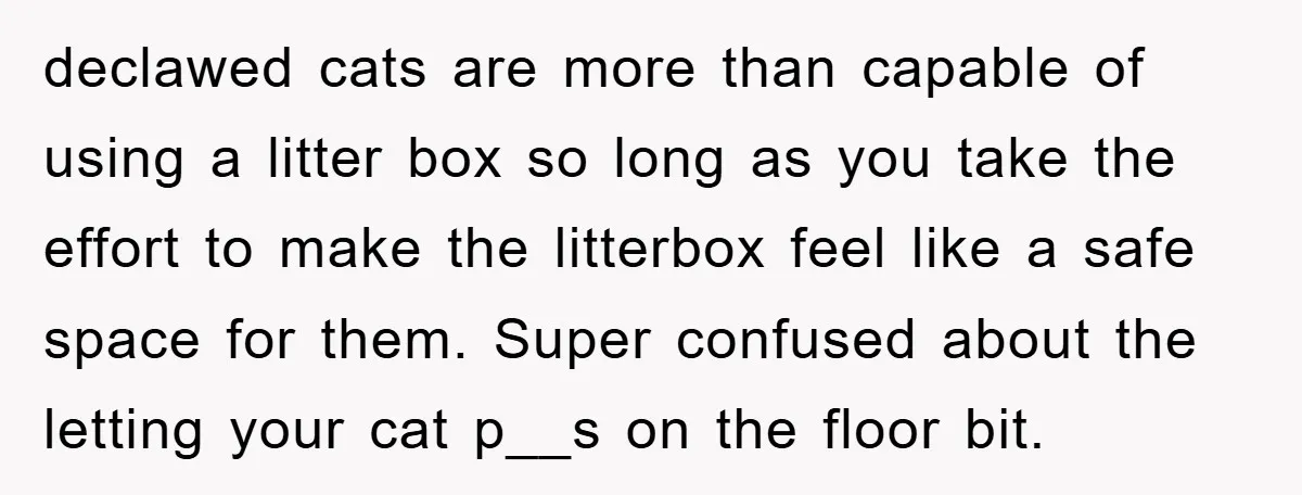 declawed cats are more than capable of using a litter box so long as you take the effort to make the litterbox feel like a safe space for them. Super...