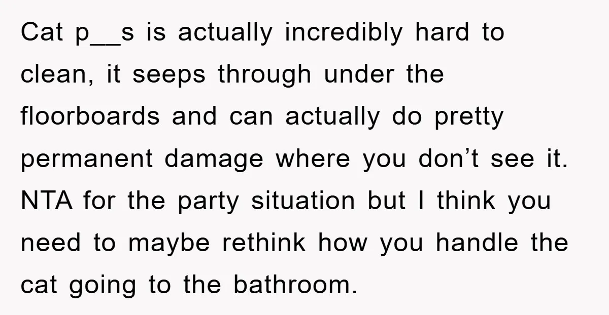 Cat p__s is actually incredibly hard to clean, it seeps through under the floorboards and can actually do pretty permanent damage where you don’t see it. NTA for the party...