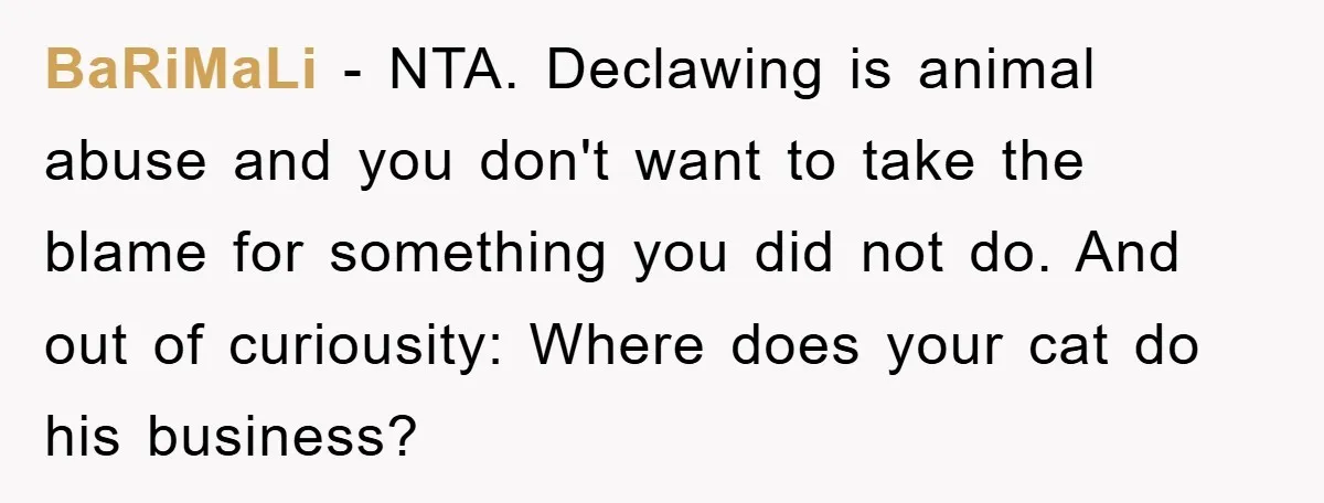 BaRiMaLi − NTA. Declawing is animal abuse and you don't want to take the blame for something you did not do. ​And out of curiousity: Where does your cat do...