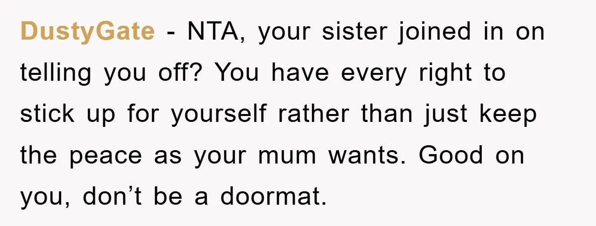 DustyGate − NTA, your sister joined in on telling you off? You have every right to stick up for yourself rather than just keep the peace as your mum wants....