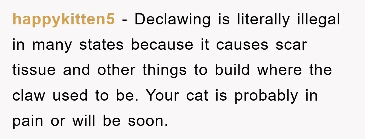 happykitten5 − Declawing is literally illegal in many states because it causes scar tissue and other things to build where the claw used to be. Your cat is probably in...