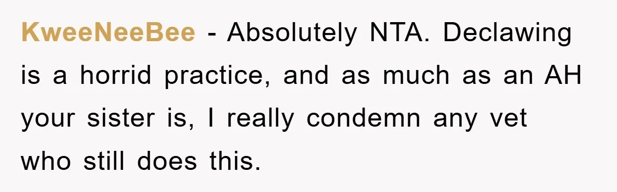 KweeNeeBee − Absolutely NTA. Declawing is a horrid practice, and as much as an AH your sister is, I really condemn any vet who still does this.
