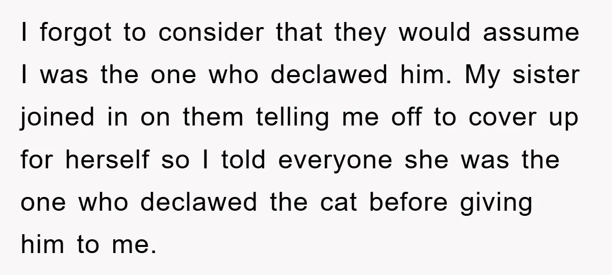 I forgot to consider that they would assume I was the one who declawed him. My sister joined in on them telling me off to cover up for herself so...