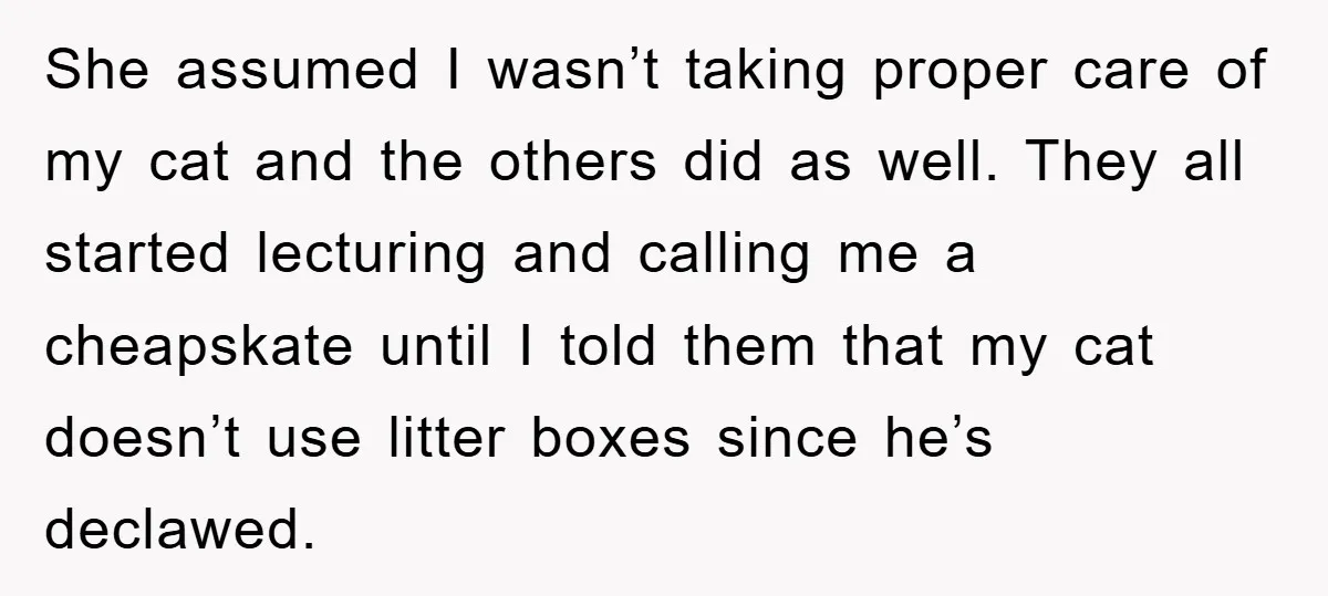 She assumed I wasn’t taking proper care of my cat and the others did as well. They all started lecturing and calling me a cheapskate until I told them that...