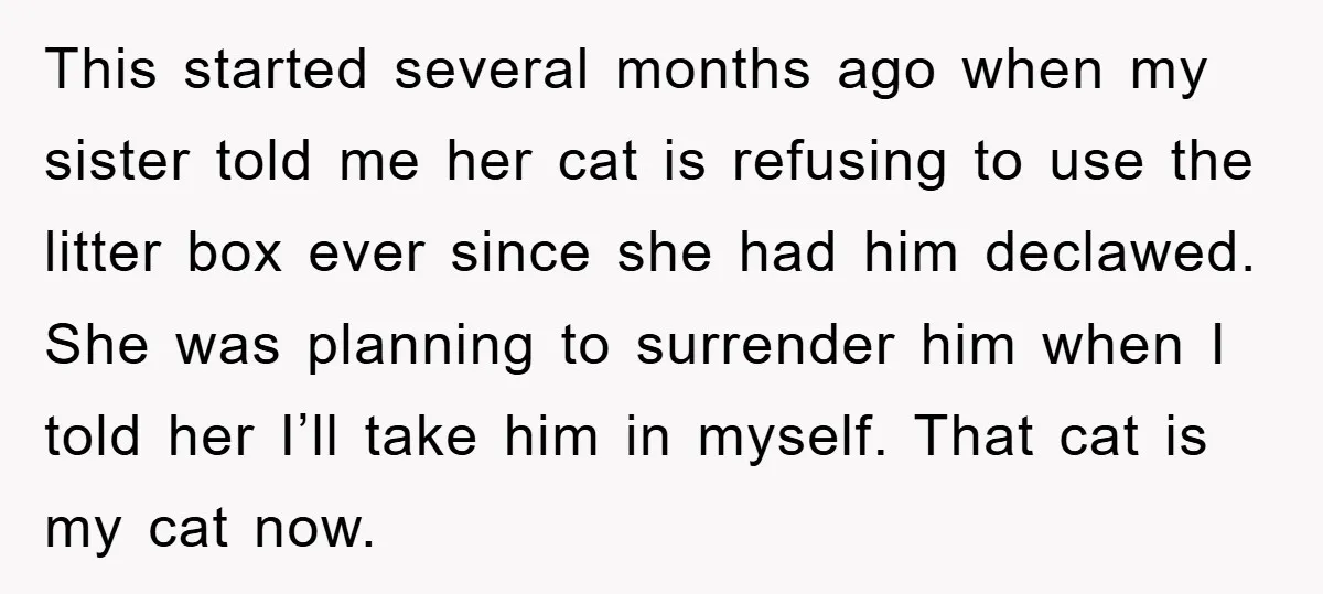 This started several months ago when my sister told me her cat is refusing to use the litter box ever since she had him declawed. She was planning to surrender...