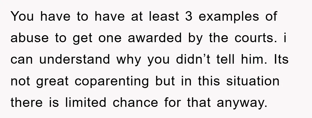 You have to have at least 3 examples of abuse to get one awarded by the courts. i can understand why you didn’t tell him. Its not great coparenting but...
