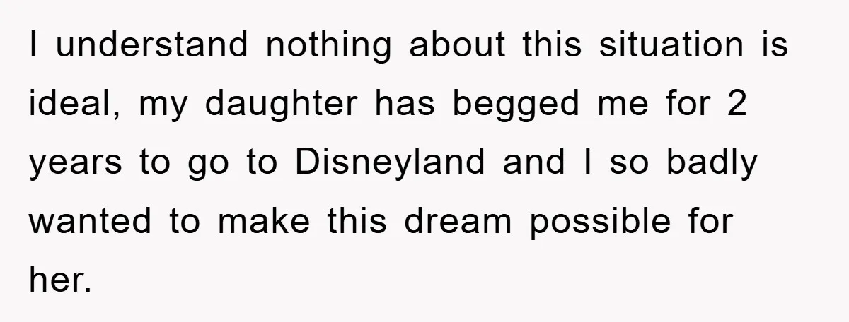 I understand nothing about this situation is ideal, my daughter has begged me for 2 years to go to Disneyland and I so badly wanted to make this dream possible...