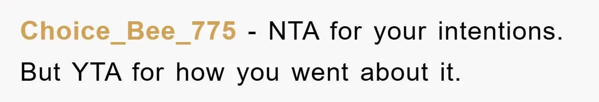 Choice_Bee_775 − NTA for your intentions. But YTA for how you went about it.